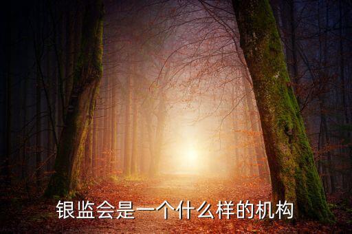 銀監(jiān)會是一個(gè)什么樣的機(jī)構(gòu)