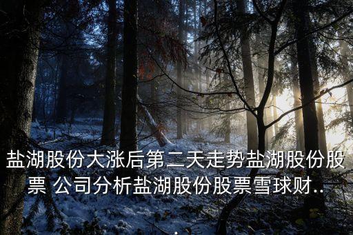 鹽湖股份大漲后第二天走勢(shì)鹽湖股份股票 公司分析鹽湖股份股票雪球財(cái)...