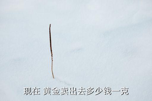 現(xiàn)在 黃金賣(mài)出去多少錢(qián)一克