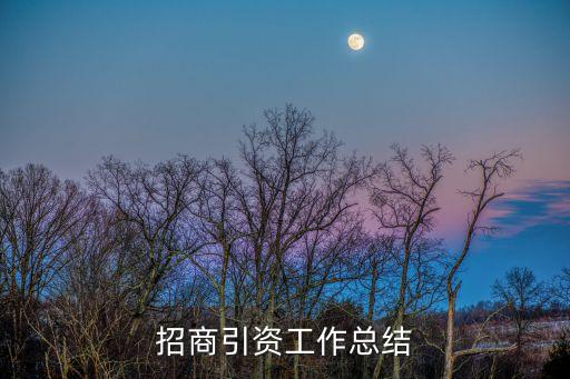 招商引資工作總結