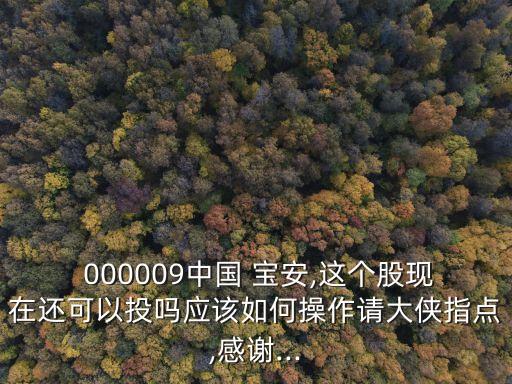  000009中國 寶安,這個股現(xiàn)在還可以投嗎應該如何操作請大俠指點,感謝...