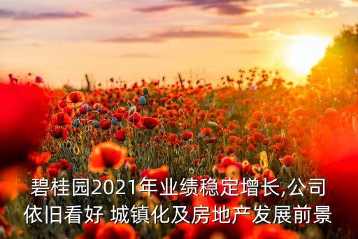 城鎮(zhèn)建設的股票,西部建設股票股