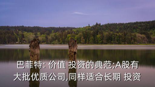 巴菲特: 價值 投資的典范;A股有大批優(yōu)質公司,同樣適合長期 投資