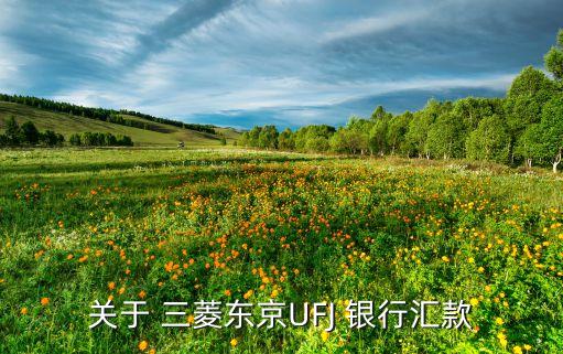 三菱銀行在中國對外業(yè)務(wù),三菱日聯(lián)銀行個(gè)人業(yè)務(wù)