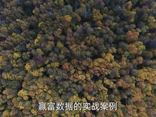 贏富數(shù)據(jù)的實(shí)戰(zhàn)案例