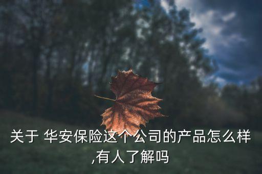 關(guān)于 華安保險(xiǎn)這個(gè)公司的產(chǎn)品怎么樣,有人了解嗎