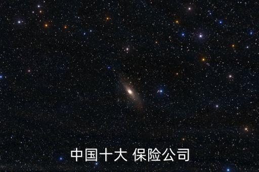 中國(guó)十大 保險(xiǎn)公司