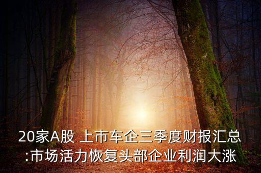20家A股 上市車企三季度財(cái)報(bào)匯總:市場活力恢復(fù)頭部企業(yè)利潤大漲