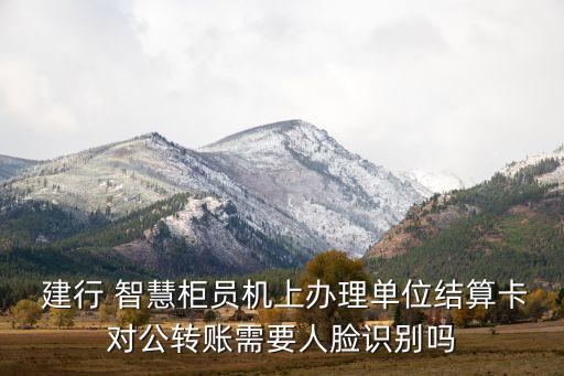  建行 智慧柜員機(jī)上辦理單位結(jié)算卡對公轉(zhuǎn)賬需要人臉識(shí)別嗎