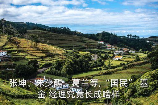 張坤、朱少醒、葛蘭等,“國民” 基金 經(jīng)理究竟長成啥樣