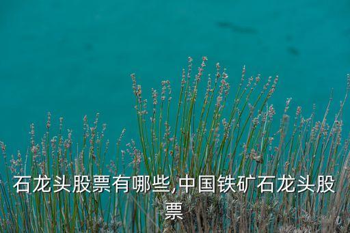 鐵礦石龍頭股票有哪些,中國(guó)鐵礦石龍頭股票