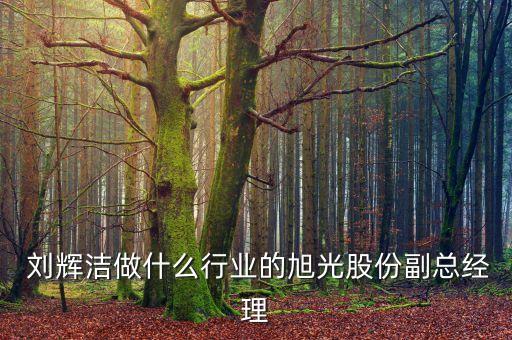  劉輝潔做什么行業(yè)的旭光股份副總經理
