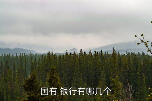 國有 銀行有哪幾個(gè)