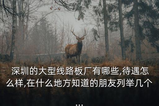  深圳的大型線路板廠有哪些,待遇怎么樣,在什么地方知道的朋友列舉幾個...