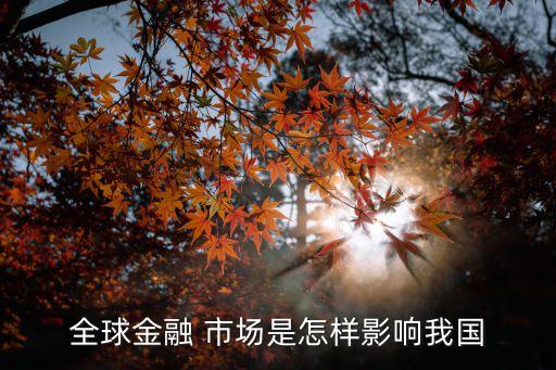 全球金融 市場(chǎng)是怎樣影響我國