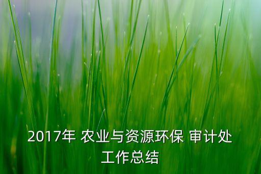 農業(yè)公司外部審計,公司外部審計意味著什么