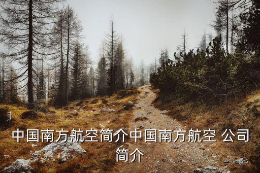 中國南方航空簡(jiǎn)介中國南方航空 公司簡(jiǎn)介