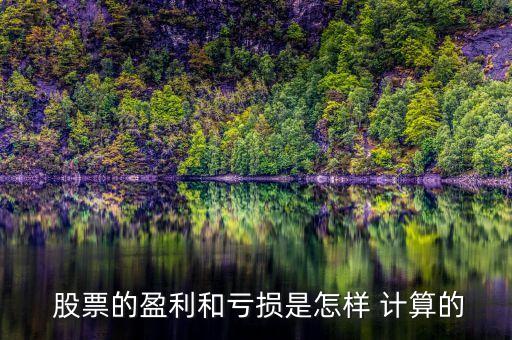 賣(mài)空股票利潤(rùn)如何計(jì)算,股票賣(mài)空盈虧計(jì)算