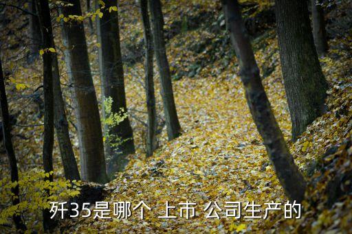 殲35是哪個 上市 公司生產(chǎn)的