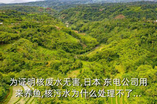 為證明核廢水無害,日本 東電公司用來養(yǎng)魚,核污水為什么處理不了...