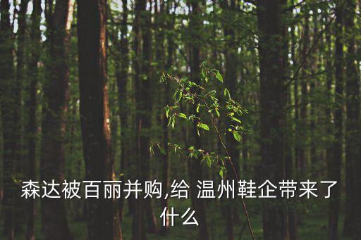 溫州時代集團董事長,溫州建設集團董事長