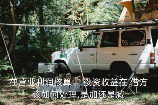 投資收入借方余額,收入或利潤(rùn)的余額在借方表示什么