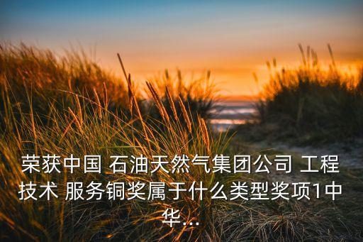 榮獲中國 石油天然氣集團公司 工程技術 服務銅獎屬于什么類型獎項1中華...