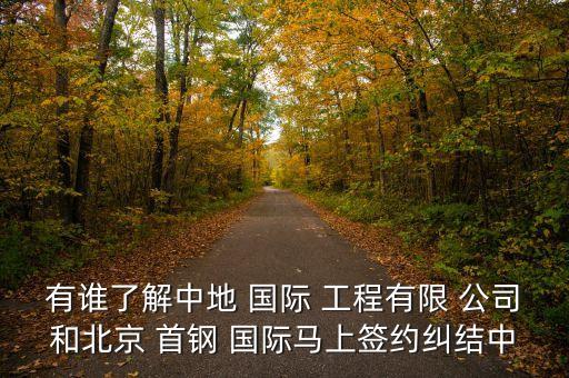 有誰(shuí)了解中地 國(guó)際 工程有限 公司和北京 首鋼 國(guó)際馬上簽約糾結(jié)中