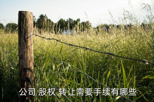  公司 股權 轉(zhuǎn)讓需要手續(xù)有哪些