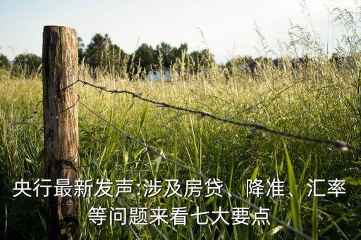 央行最新發(fā)聲:涉及房貸、降準(zhǔn)、匯率等問題來看七大要點