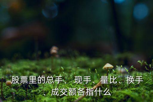  股票里的總手、 現(xiàn)手、量比、換手、成交額各指什么