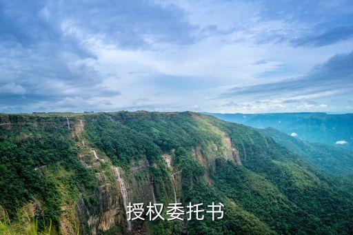 授權(quán)委托書(shū)