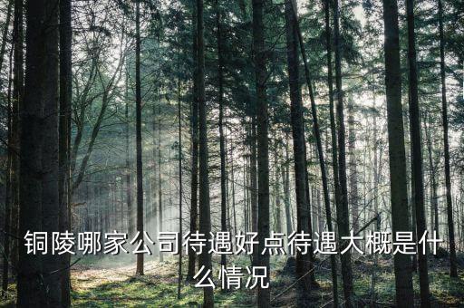 銅陵金隆銅業(yè)有限公司商務部部長