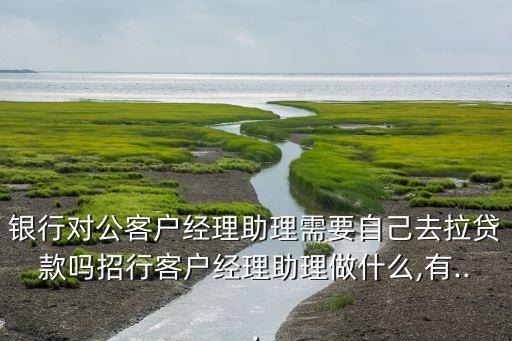 銀行對公客戶經理助理需要自己去拉貸款嗎招行客戶經理助理做什么,有...