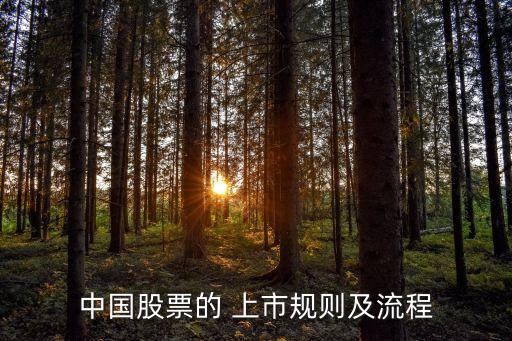 中國(guó)股票的 上市規(guī)則及流程
