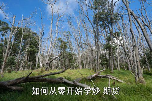 如何從零開始學(xué)炒 期貨