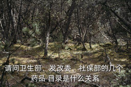 請問衛(wèi)生部、發(fā)改委、社保部的幾個(gè) 藥品 目錄是什么關(guān)系