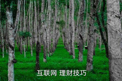  互聯(lián)網 理財技巧