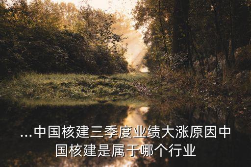 ...中國核建三季度業(yè)績大漲原因中國核建是屬于哪個(gè)行業(yè)