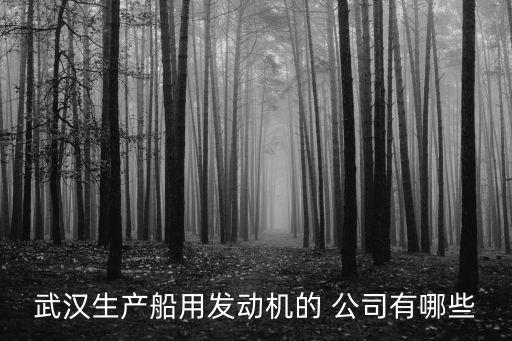 武漢生產(chǎn)船用發(fā)動機(jī)的 公司有哪些