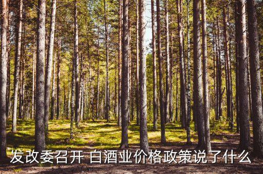 發(fā)改委召開 白酒業(yè)價(jià)格政策說(shuō)了什么