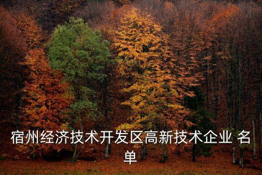 宿州經(jīng)濟(jì)技術(shù)開發(fā)區(qū)高新技術(shù)企業(yè) 名單