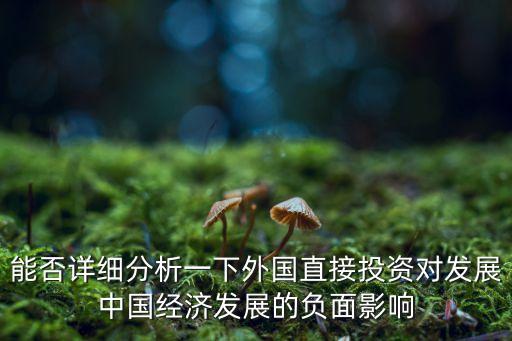 能否詳細分析一下外國直接投資對發(fā)展中國經濟發(fā)展的負面影響