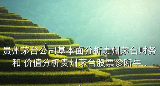 貴州茅臺公司基本面分析貴州茅臺財務和 價值分析貴州茅臺股票診斷牛...