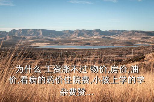 為什么 工資漲不過 物價(jià),房價(jià),油價(jià),看病的藥價(jià)住院費(fèi),小孩上學(xué)的學(xué)雜費(fèi)贊...