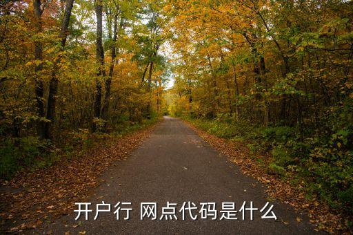 開(kāi)戶(hù)行 網(wǎng)點(diǎn)代碼是什么