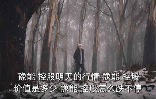 豫能 控股明天的行情 豫能 控股價值是多少 豫能 控股怎么跌不停