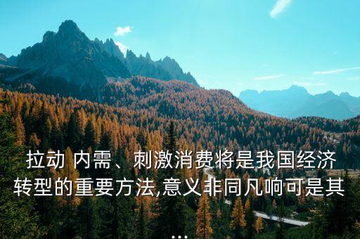  拉動(dòng) 內(nèi)需、刺激消費(fèi)將是我國經(jīng)濟(jì)轉(zhuǎn)型的重要方法,意義非同凡響可是其...