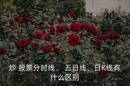 炒 股票分時(shí)線、 五日線、日K線有什么區(qū)別