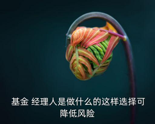  基金 經(jīng)理人是做什么的這樣選擇可降低風險